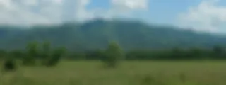 Blurry image of a lush green landscape with mountains, possibly reminiscent of places like Loryna, under a blue sky dotted with clouds.